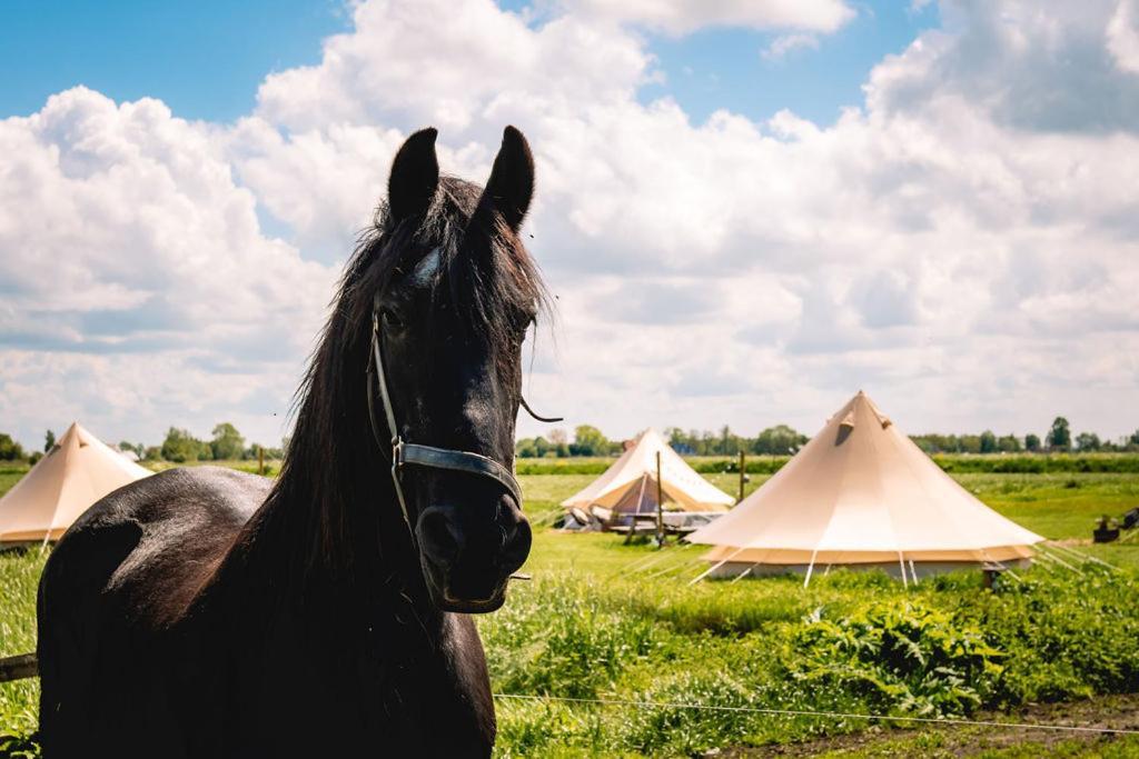 Smuk Lytse Bell Tent Echtenerbrug Экстерьер фото